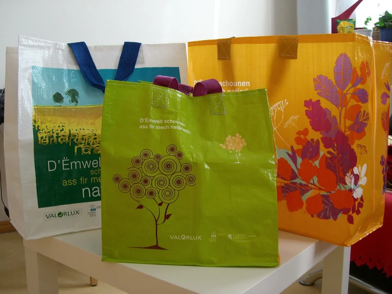 Reusable shopping bags